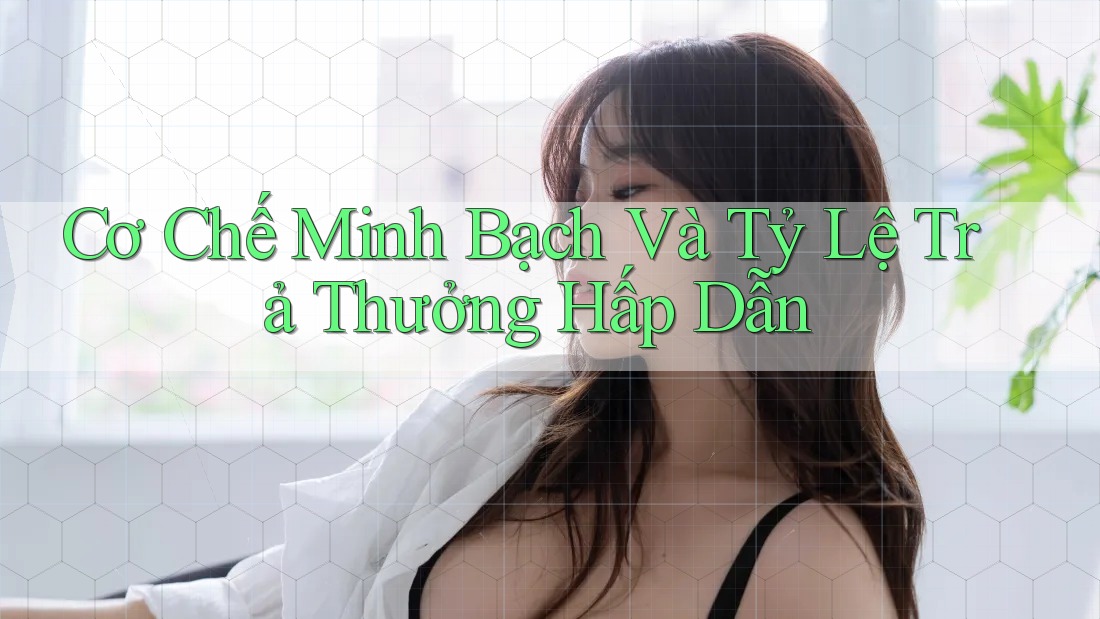 Cơ Chế Minh Bạch Và Tỷ Lệ Trả Thưởng Hấp Dẫn