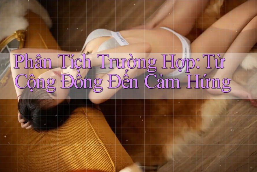 Phân Tích Trường Hợp: Từ Cộng Đồng Đến Cảm Hứng